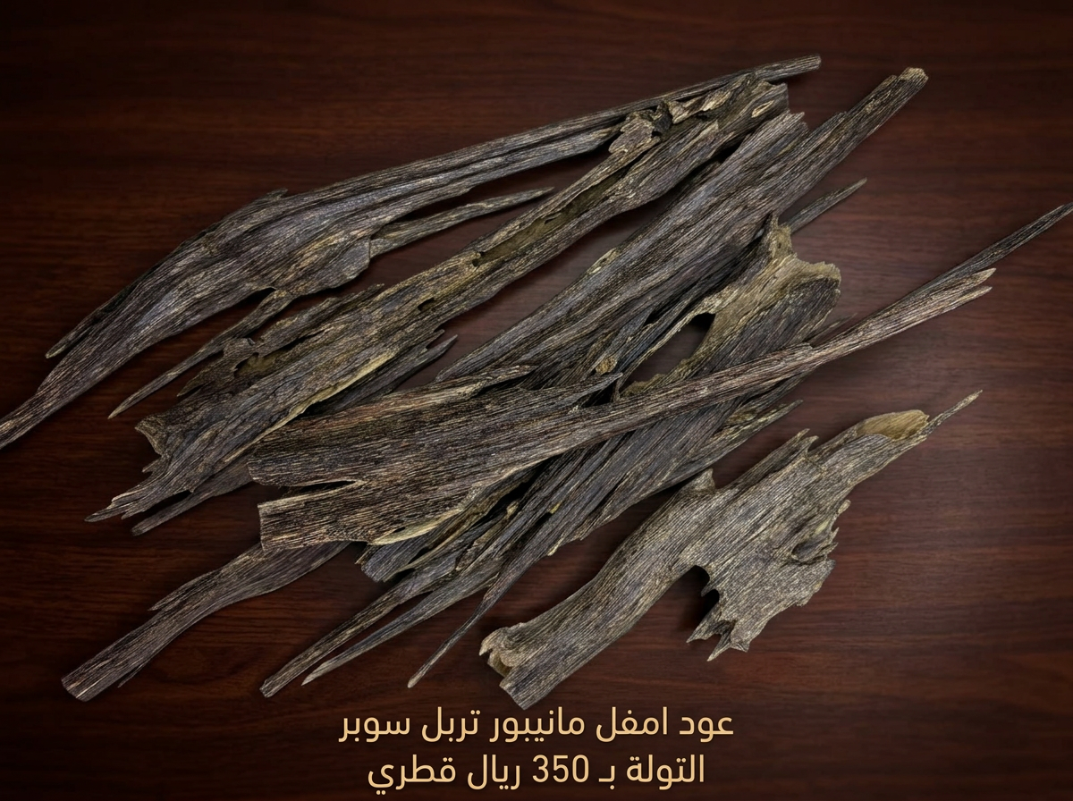 تربل سوبر امفل مانيبور