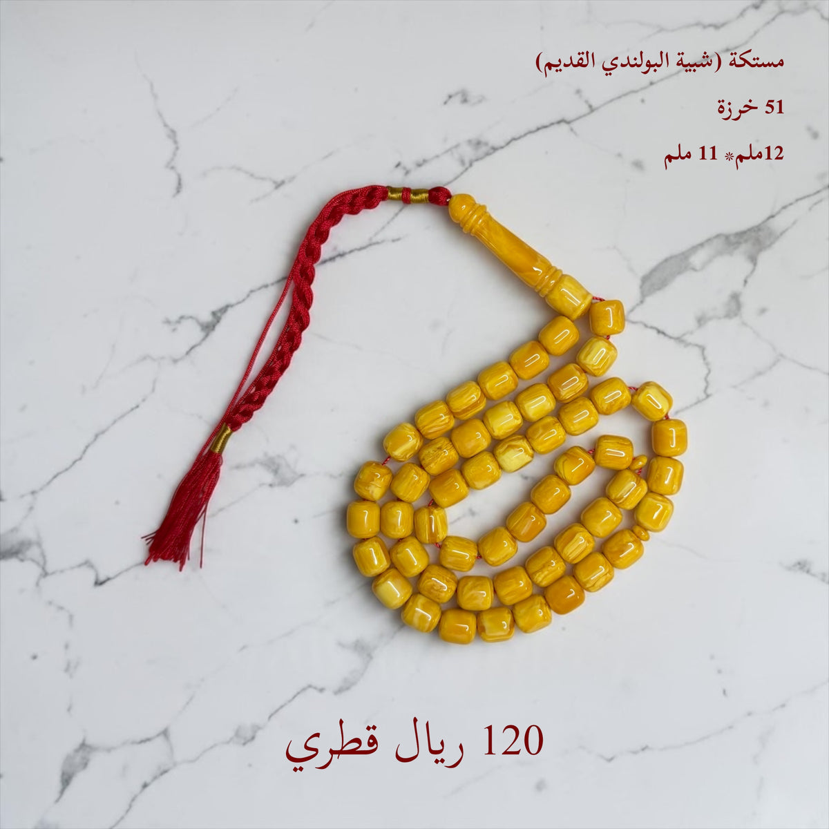 مستكة شبيه البولندي القديم